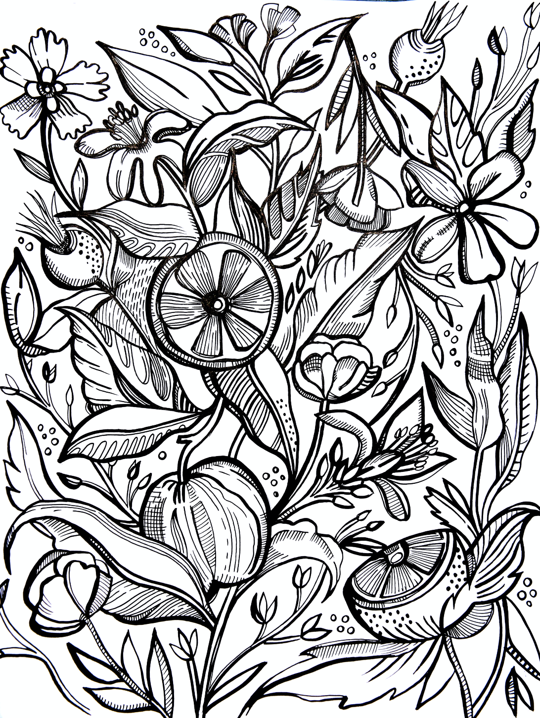 Screen Shot 2018-01-02 at 1.55.31 PM.png