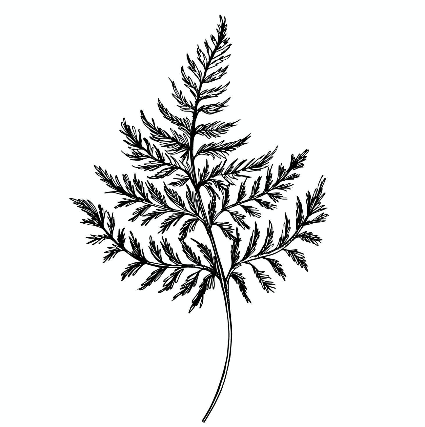 Screen Shot 2018-03-28 at 6.20.52 PM.png