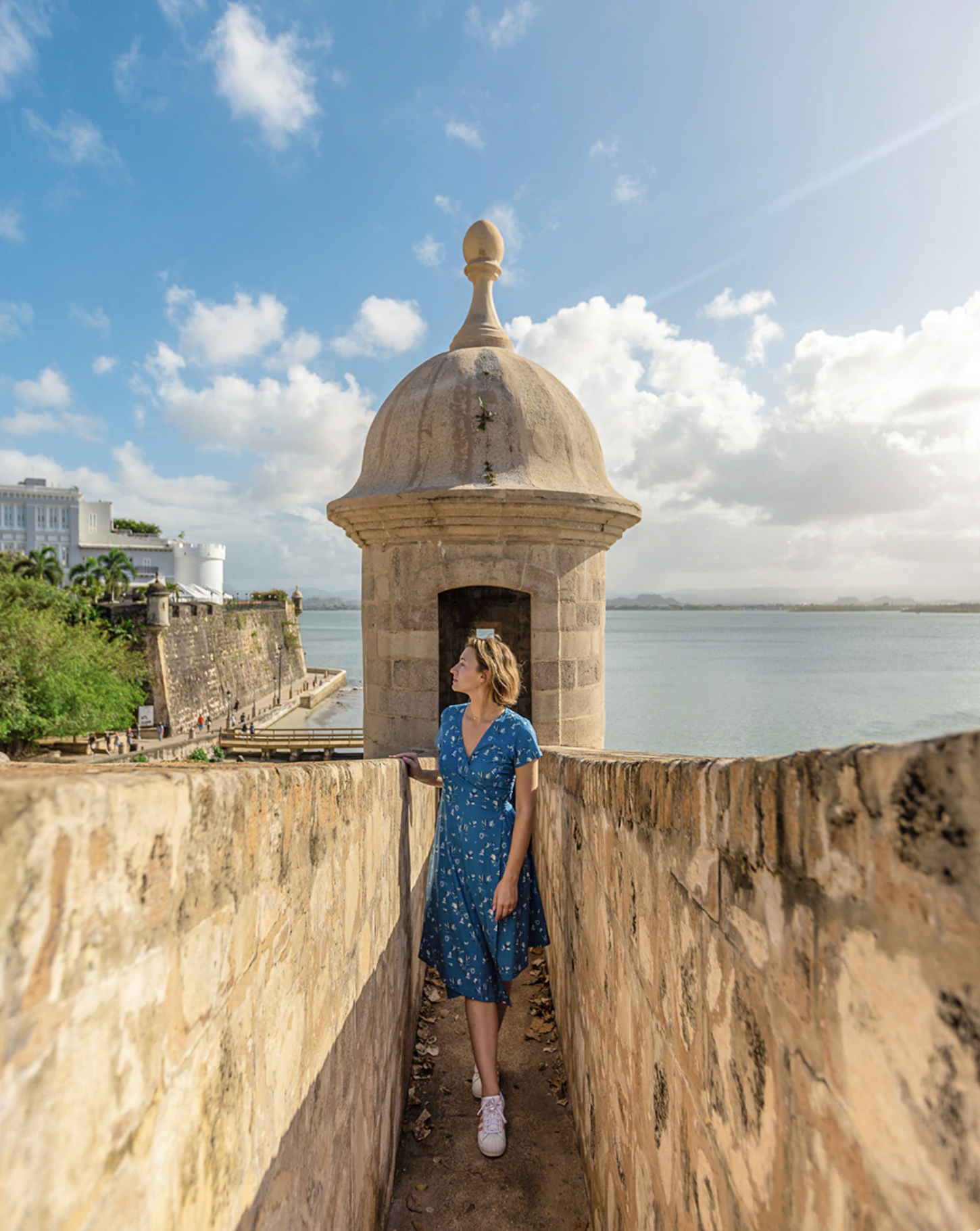 Screen Shot 2022-06-26 at 5.23.26 PM.png