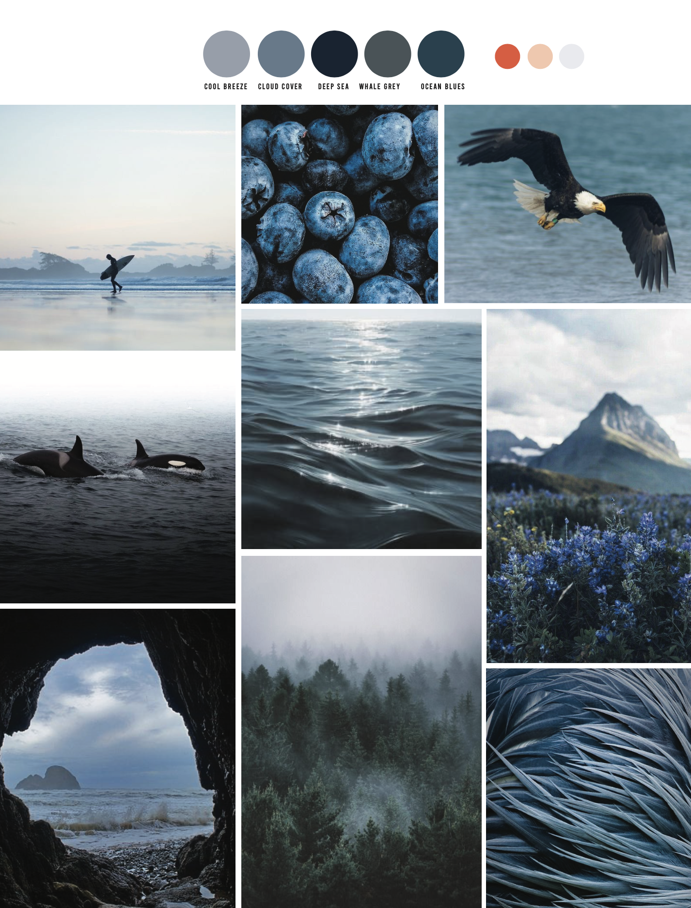 Screen Shot 2022-09-27 at 12.30.25 PM.png