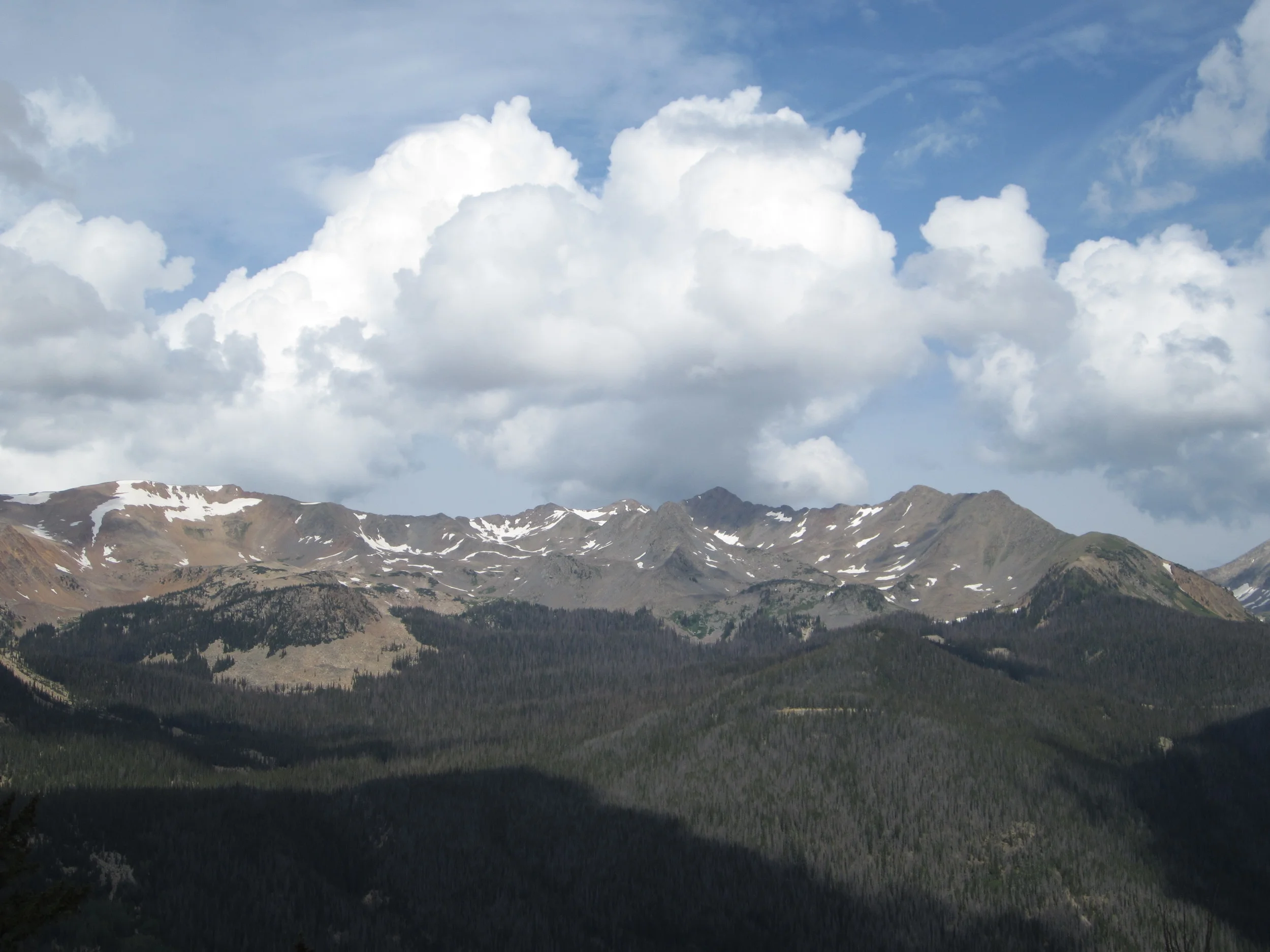 IMG_0831.JPG