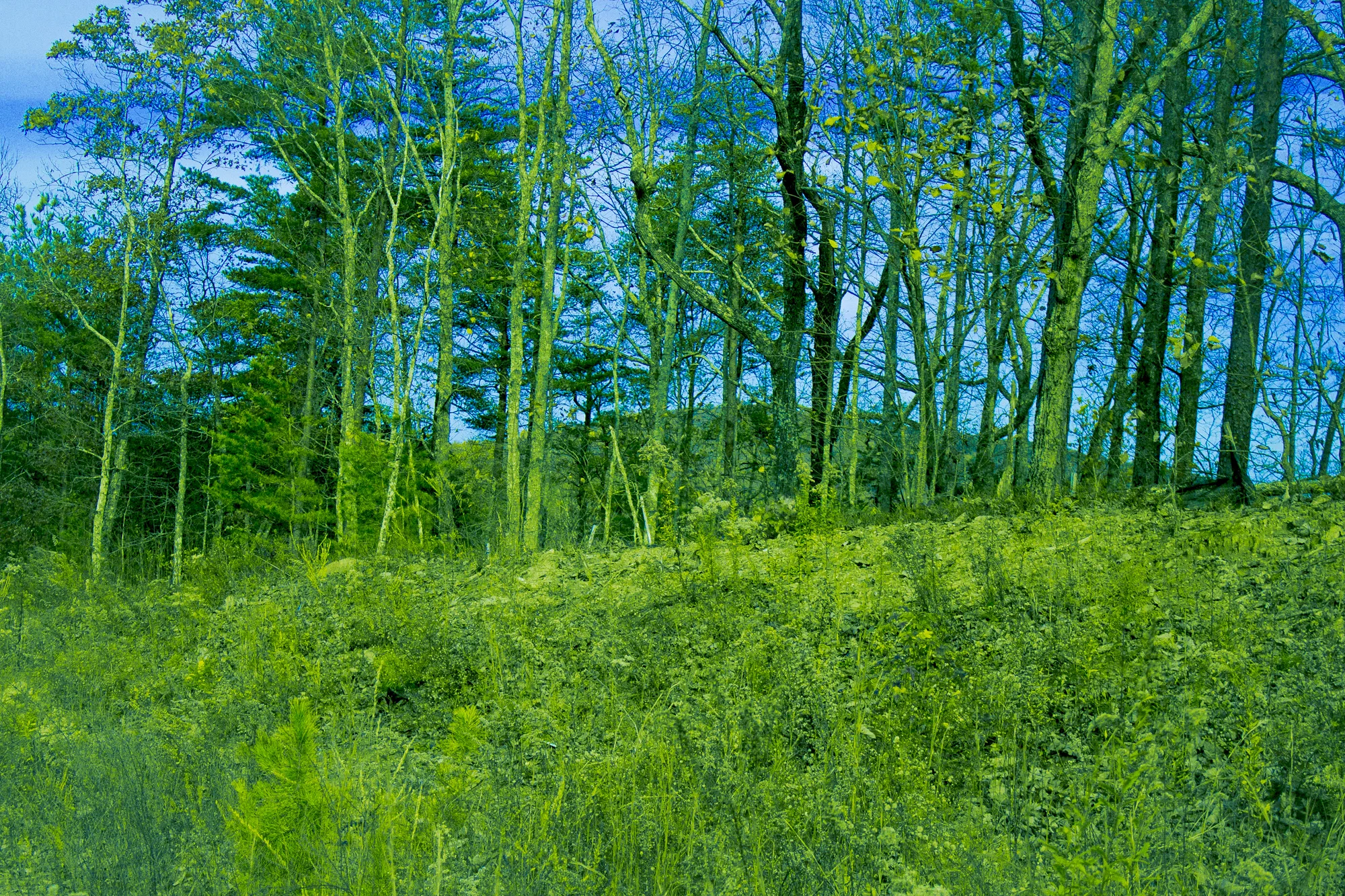 Desktop-28.jpg