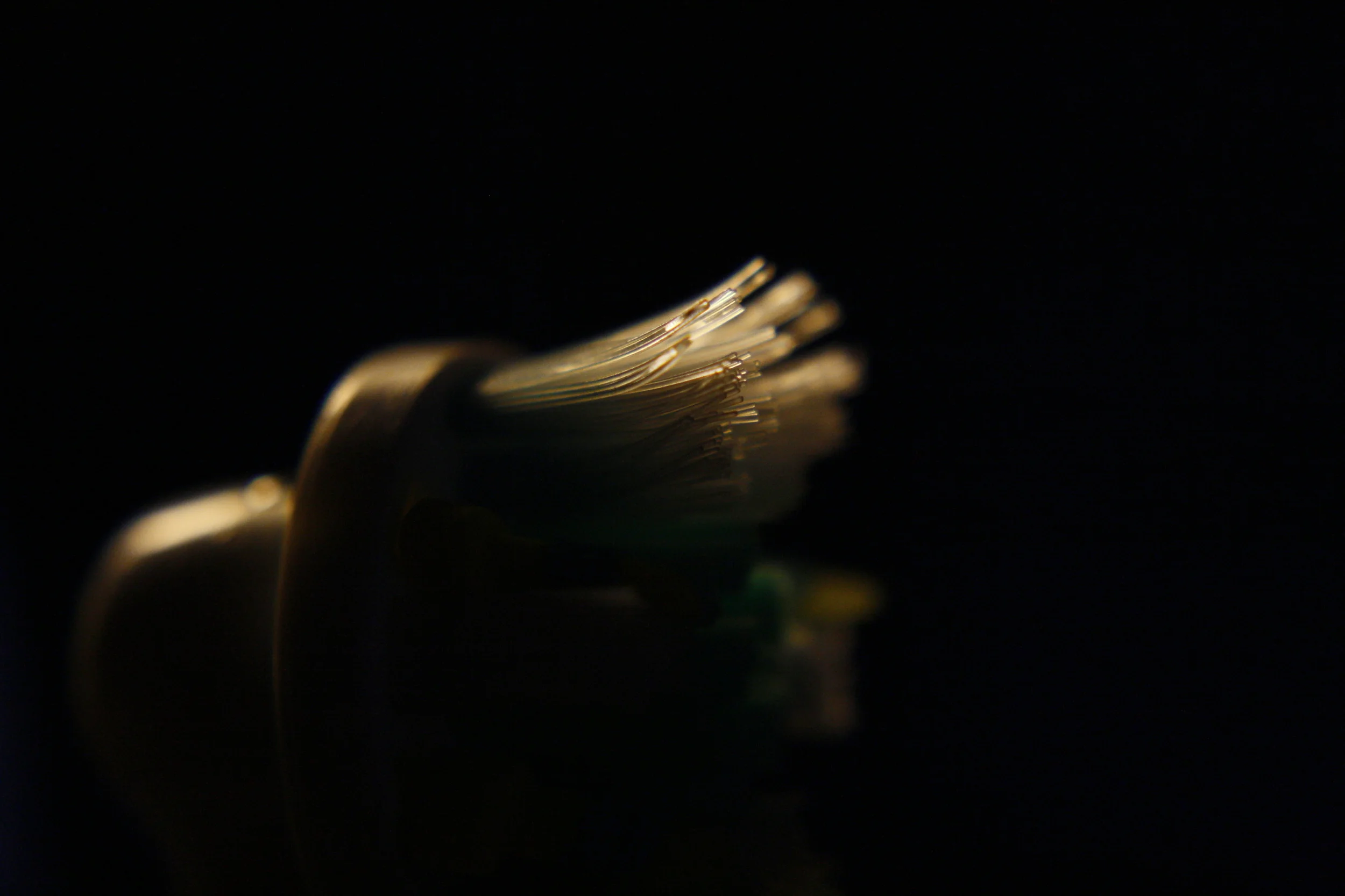 _MG_2584.JPG