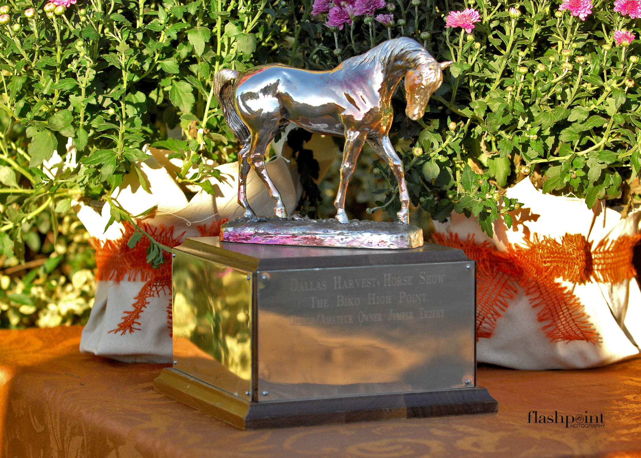 horse trophy.jpg