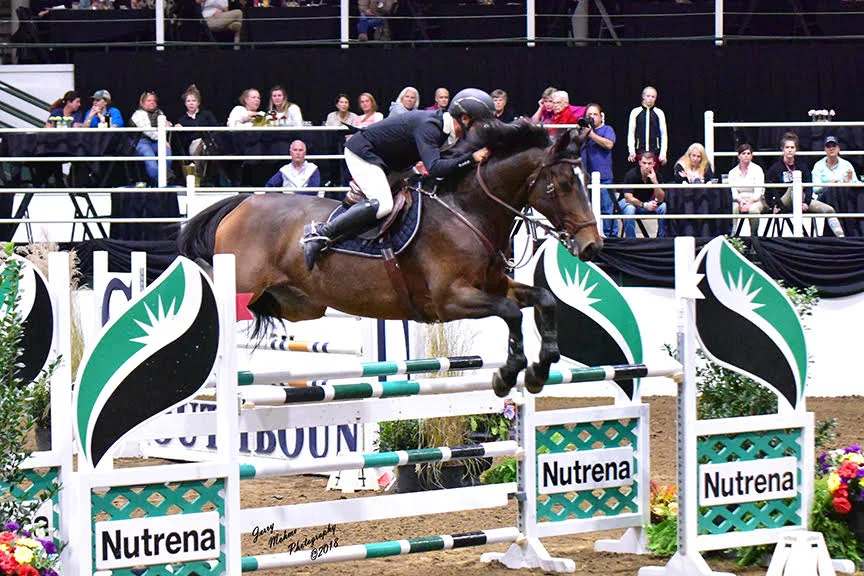 Saturday night saw the $30,000 Nutrena Grand Prix take center stage. Three horses were clean and went to the jump off. Quattro and Daniel Bedoya was the fastest and took home the top spot. MTM Cravitz and Natalee Haggan took the red ribbon and Rach