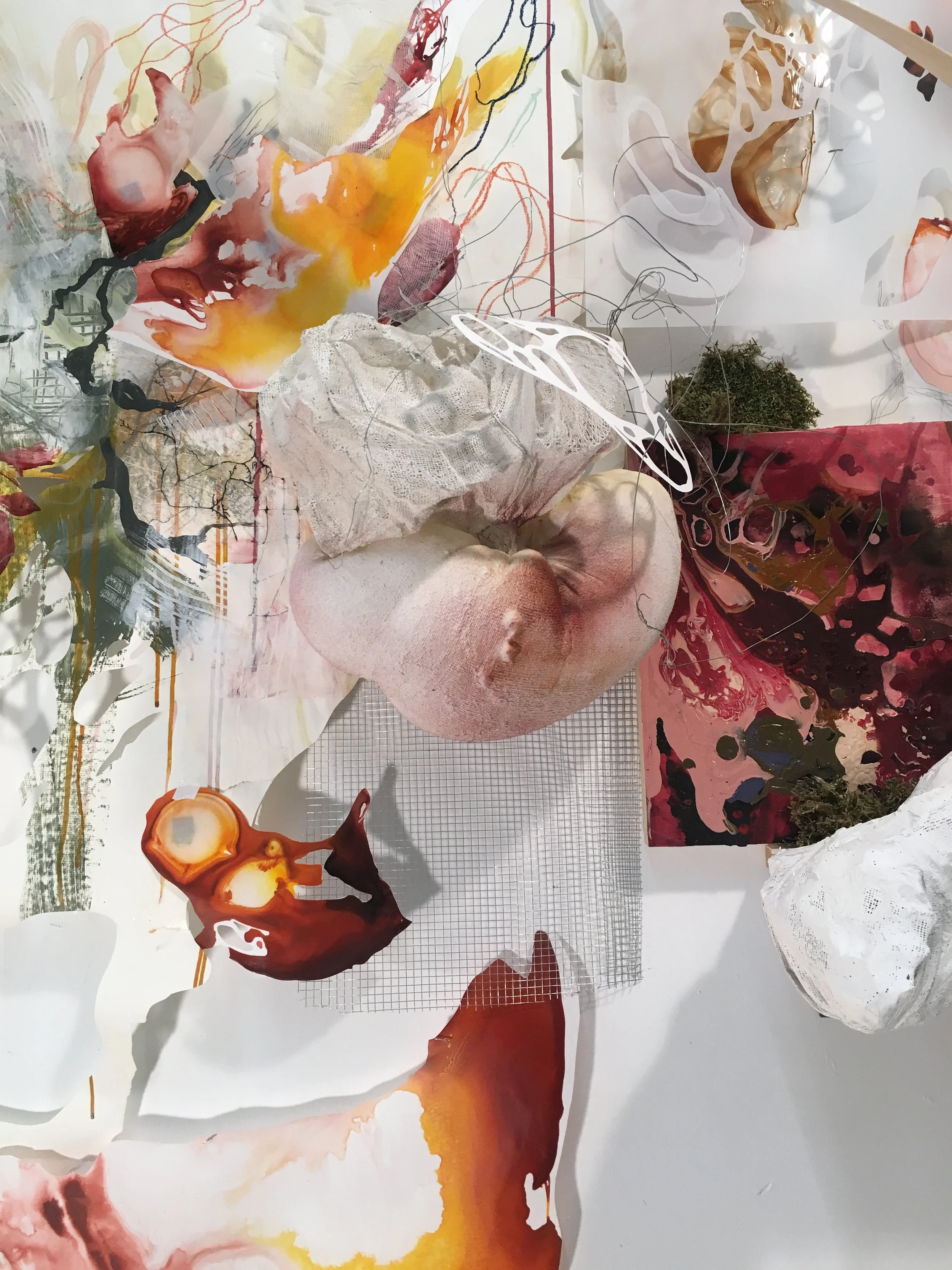 ReGenerate Installation detail