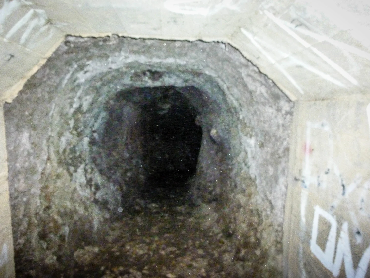Explore the Japanese Tunnels