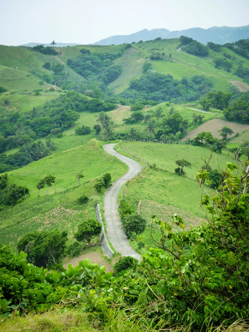 Enjoy the view on the way to the Japanese Tunnels