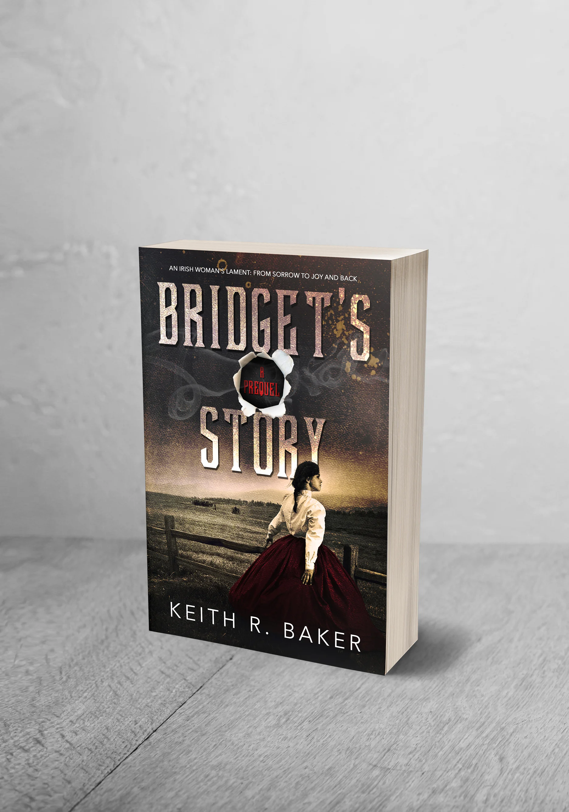 Bridget's Story Website 2.jpg