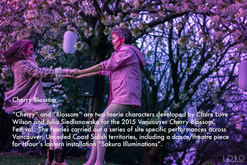 cherryblossom4 main.jpg