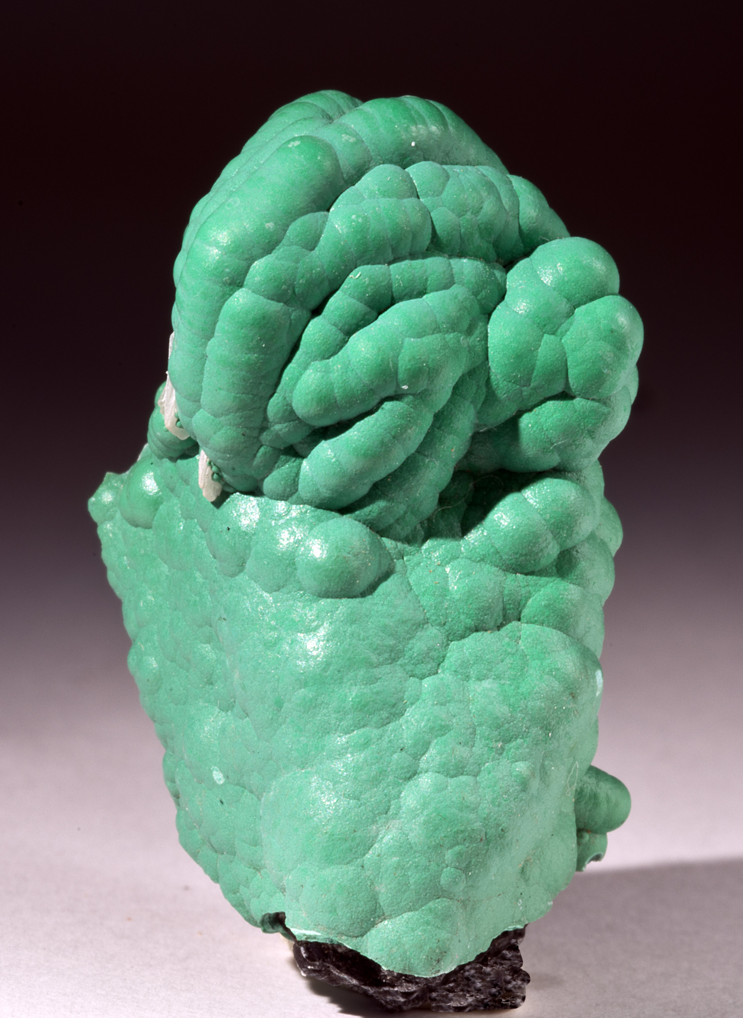 Malachite from the Planet Mine.jpg