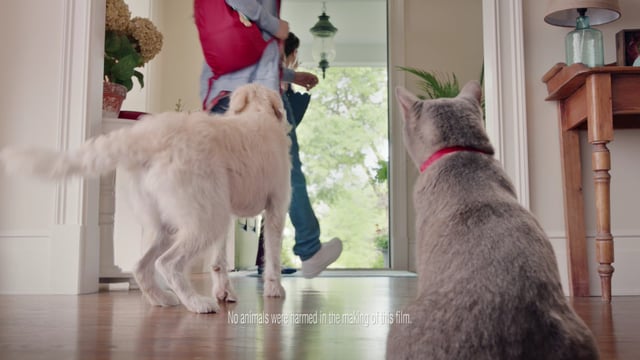 ComEd_60sec_Master_HomeSavings.mov