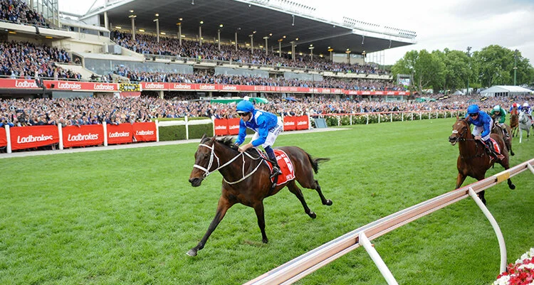 Inside Racing | Hardie Grant | Ad Centre