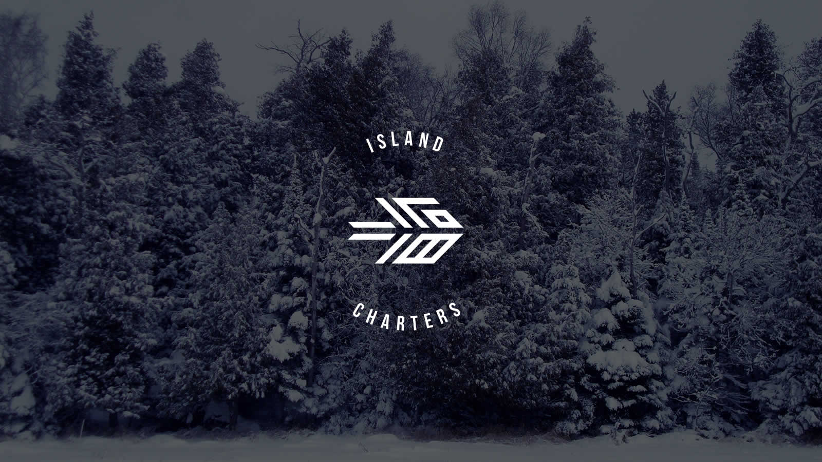 White logo on image