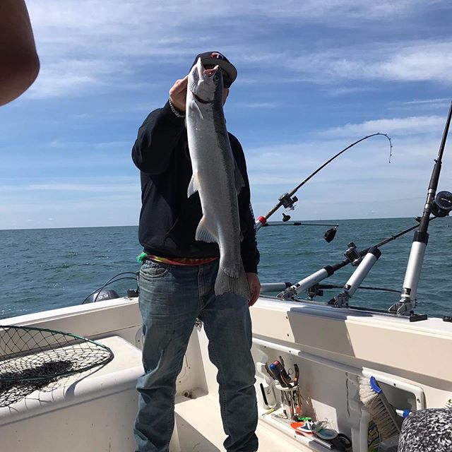 7/8/17 Steel.
.
.
.
.
#lescheneauxislands #fishmichigan #puremichigan #fishing #michiganfishing #troutfishing #fishon #michigan #thetugisthedrug #catchandrelease #fish #tightlines #kingsalmon #salmonfishing #atlanticsalmon #laketrout #steelhead #drum