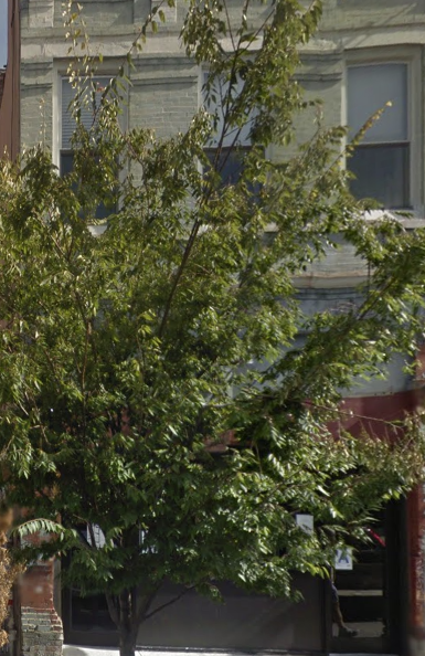 93N6th5.png