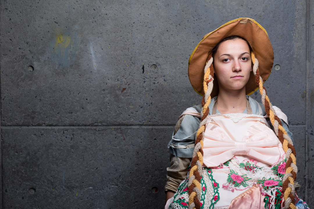 Let Us Now Praise Susan Sontag (2015)