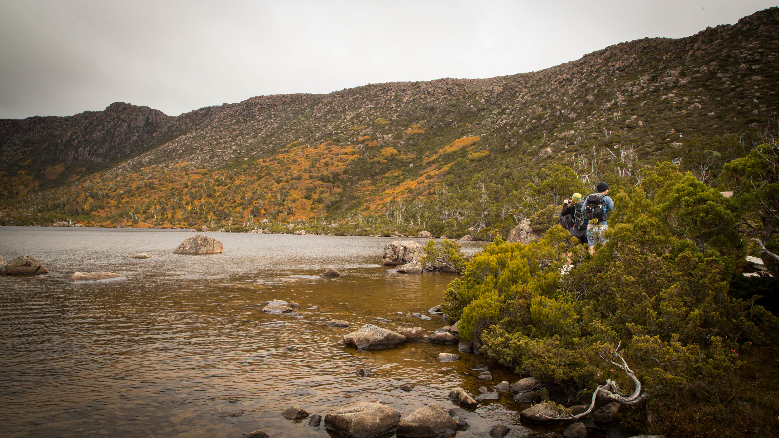 Wild Pedder - Lake Newdegate in Autumn