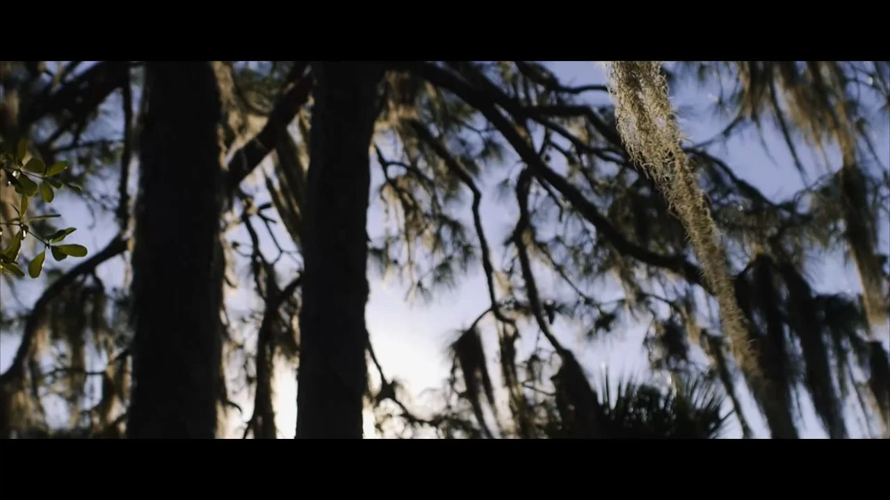 Travis Hayward Videography Reel 2014