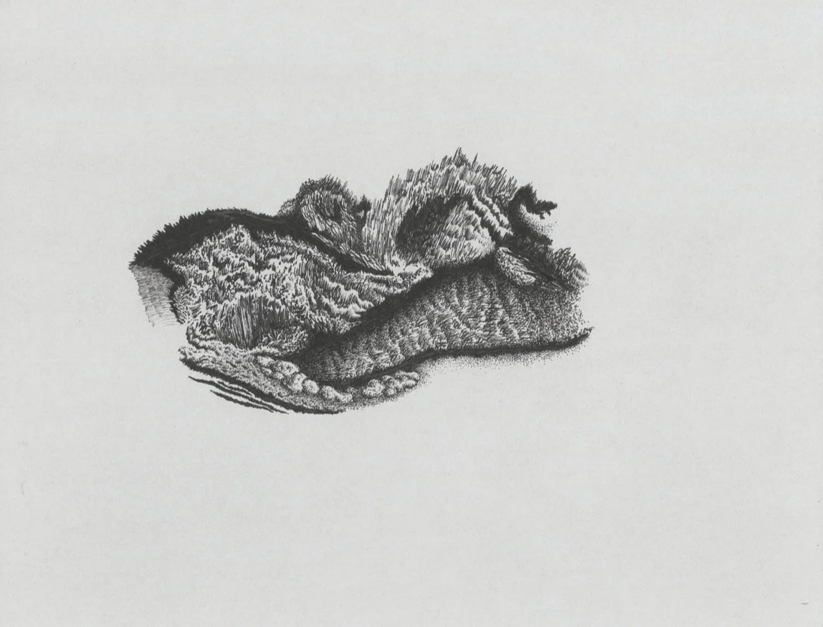 b8.jpg