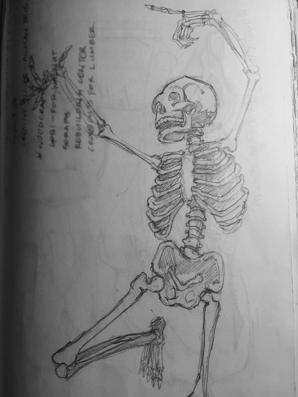 image-asset (1).jpeg