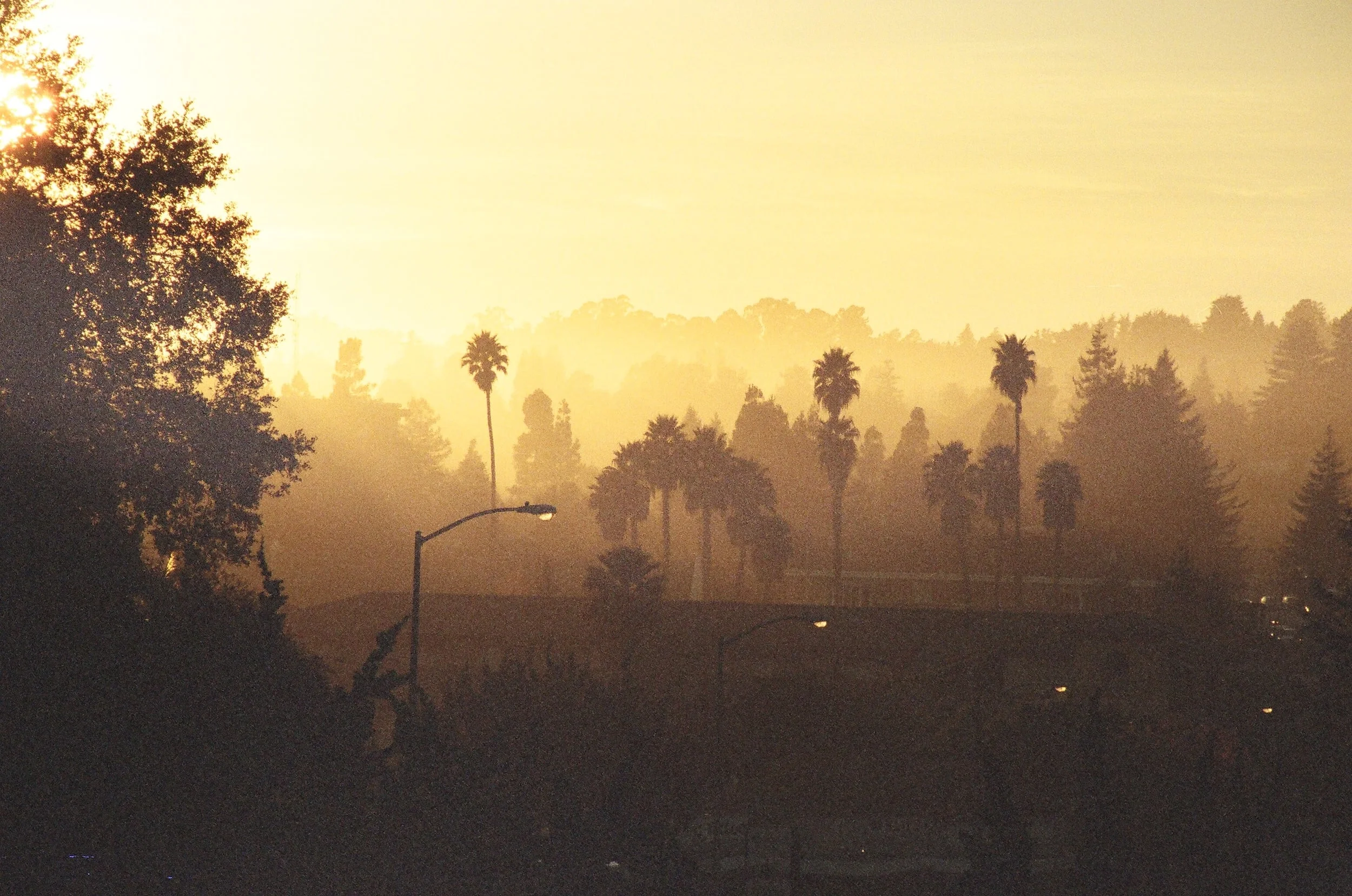 travels 076.jpg