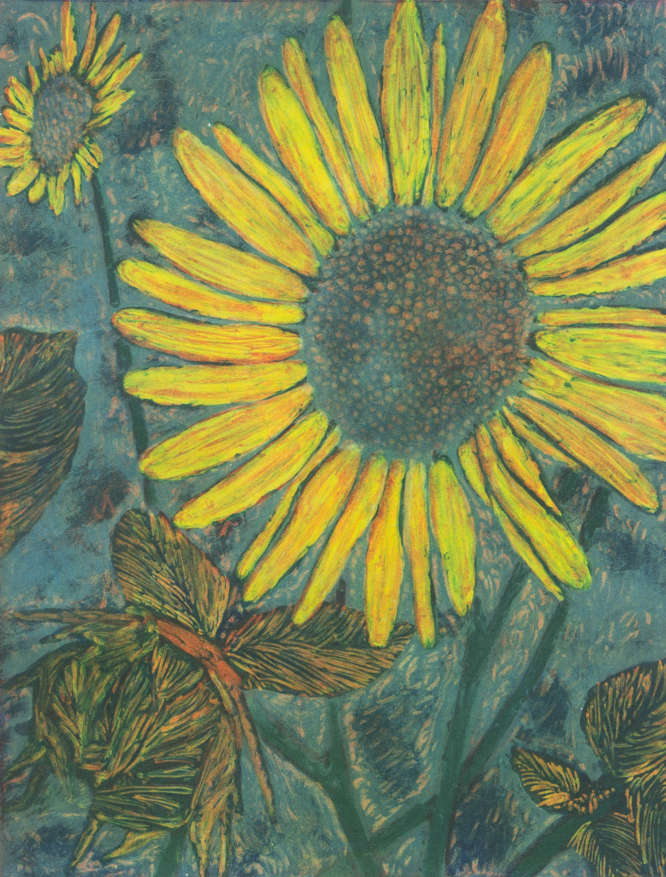 Helianthus annuus No. 2.jpg