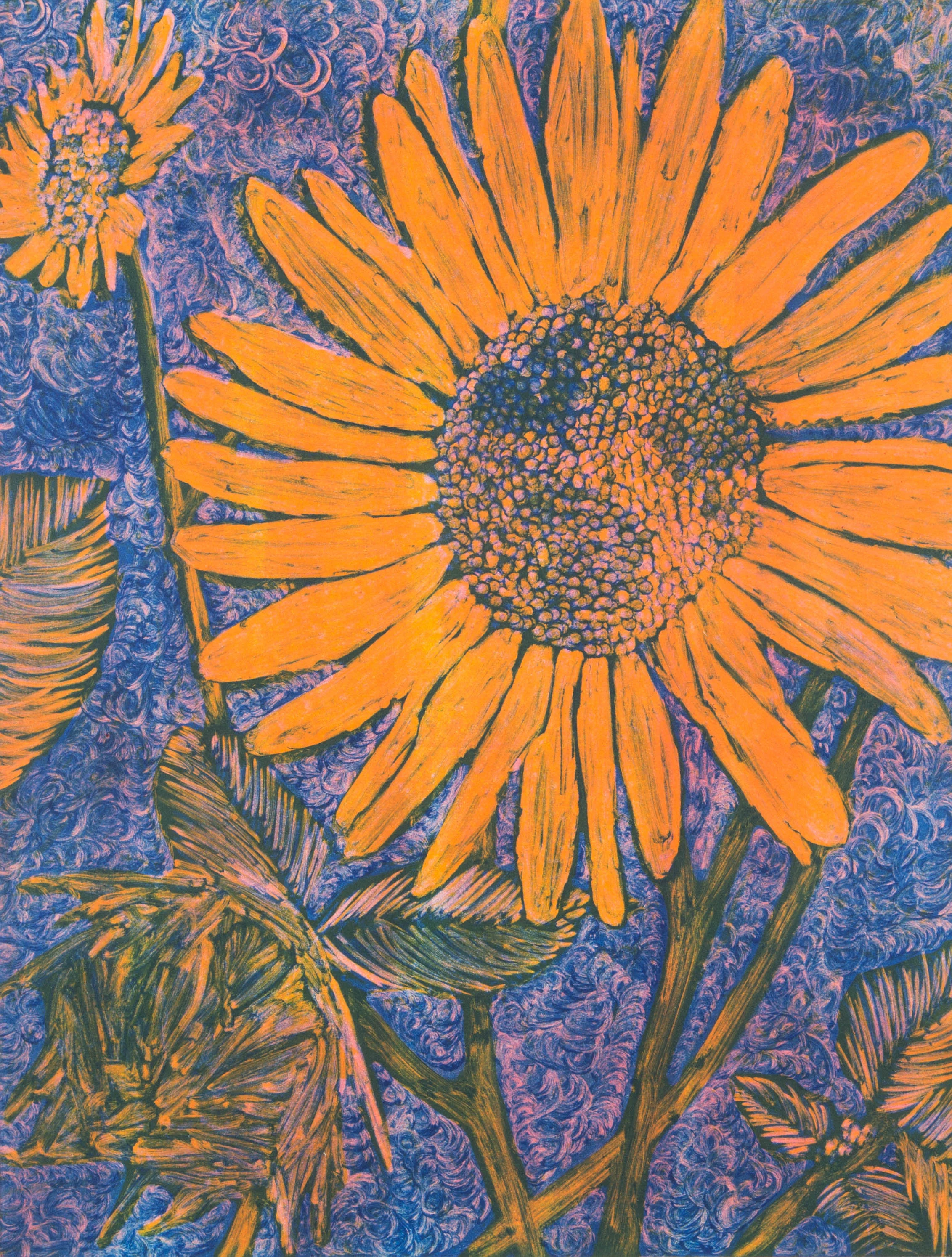 Helianthus annuus No. 4.jpg