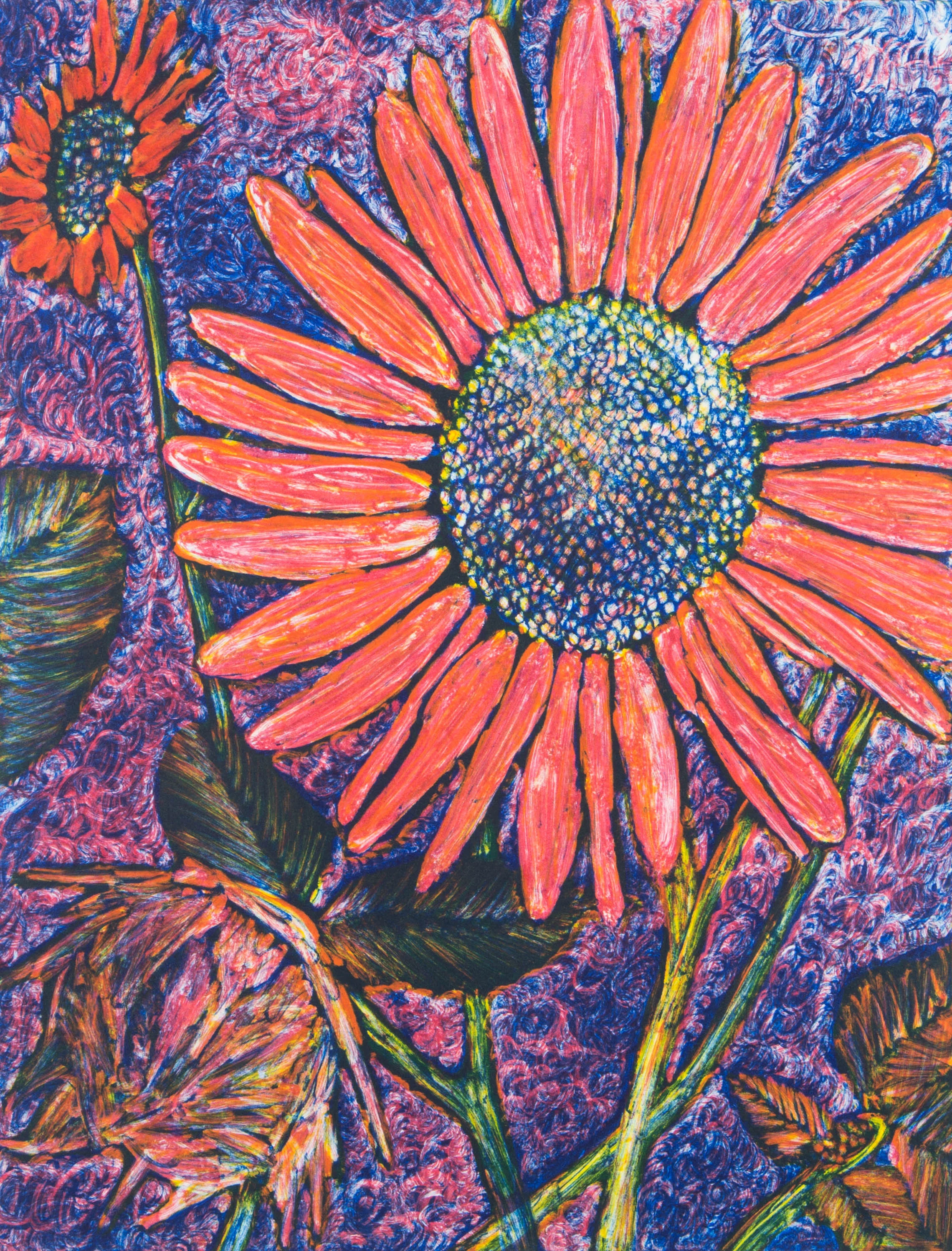 Helianthus annuus No. 10.jpg