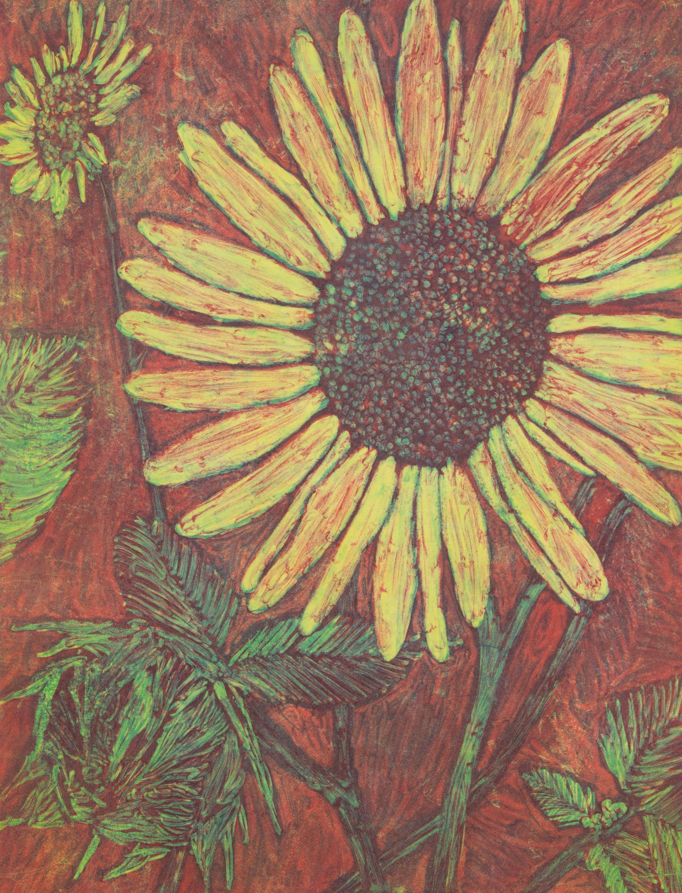 Helianthus annuus No. 117" x 21"2016Monotype