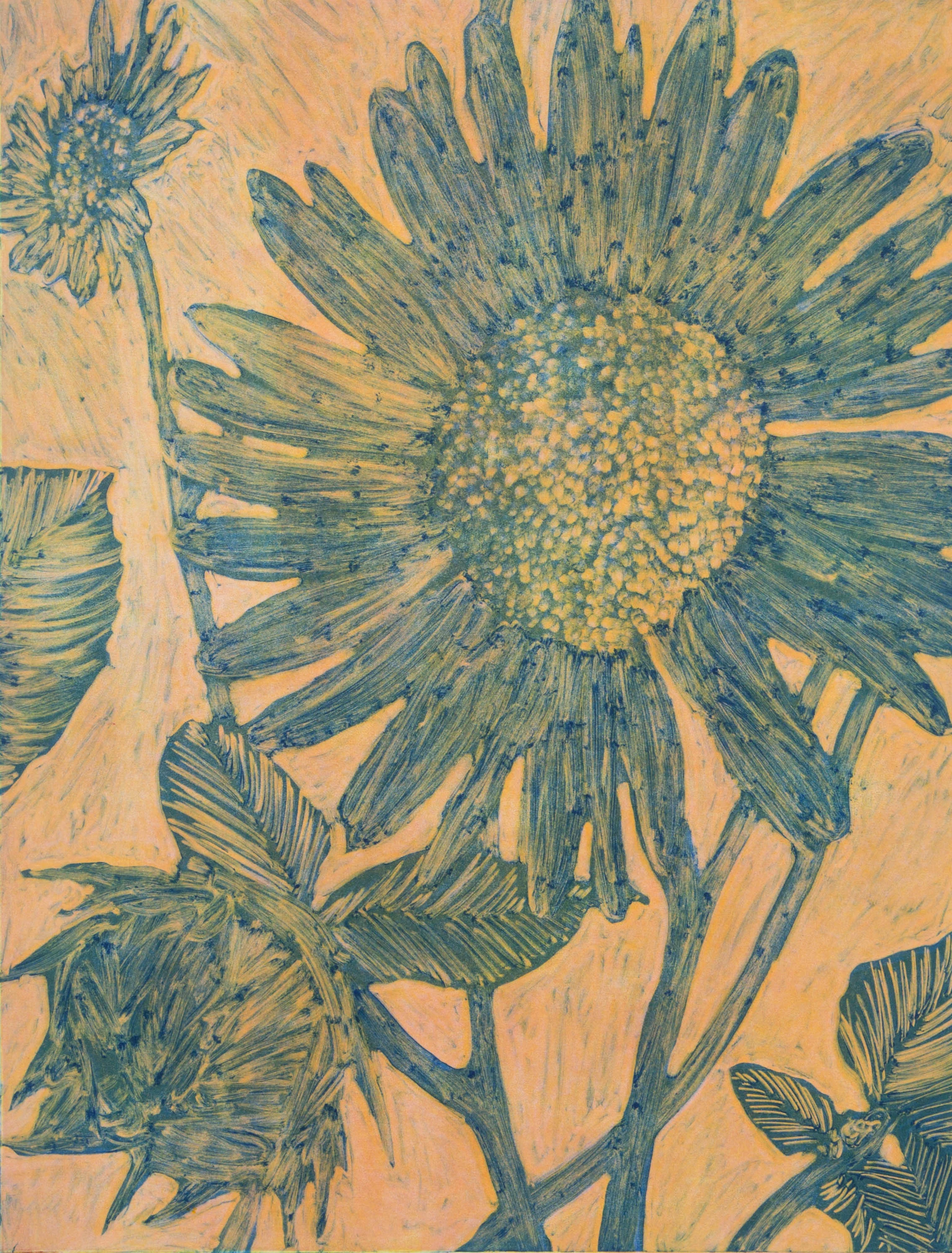 Helianthus annuus No. 917" x 21"2016Monotype