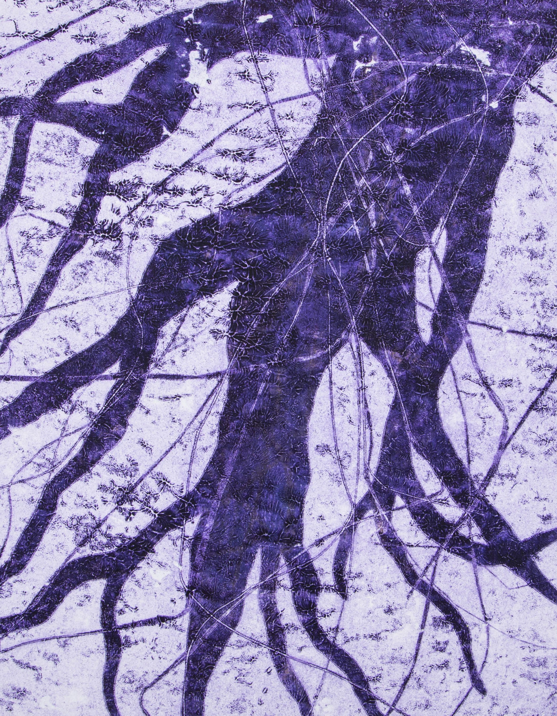 Adumbration15" x 19"2016Collagraph, Pochoir, Monotype