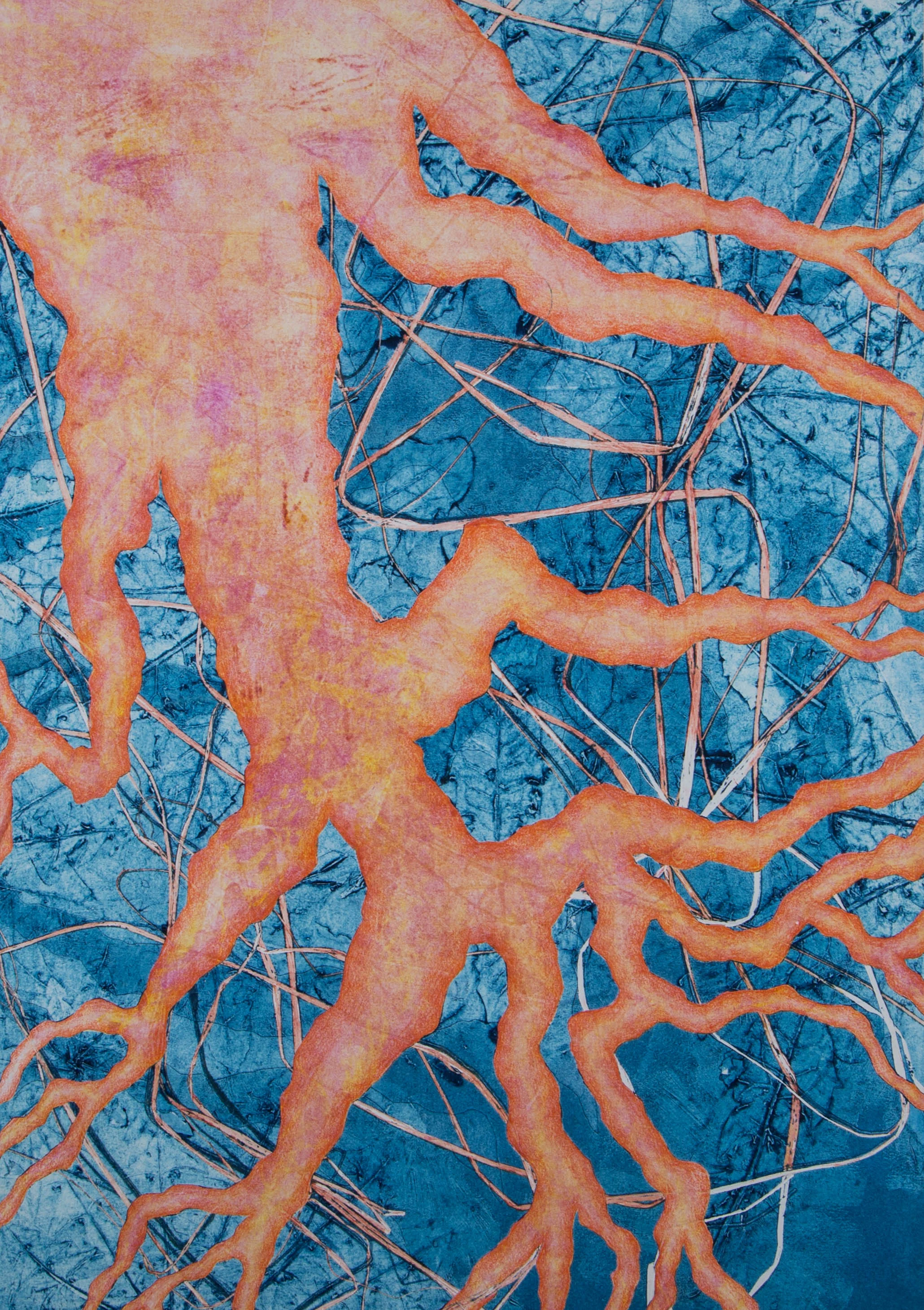 A Holy Root19" x 26"&nbsp;2016A Holy Root19" x 26"Collagraph, Pochoir, Colored Pencil, Monotype