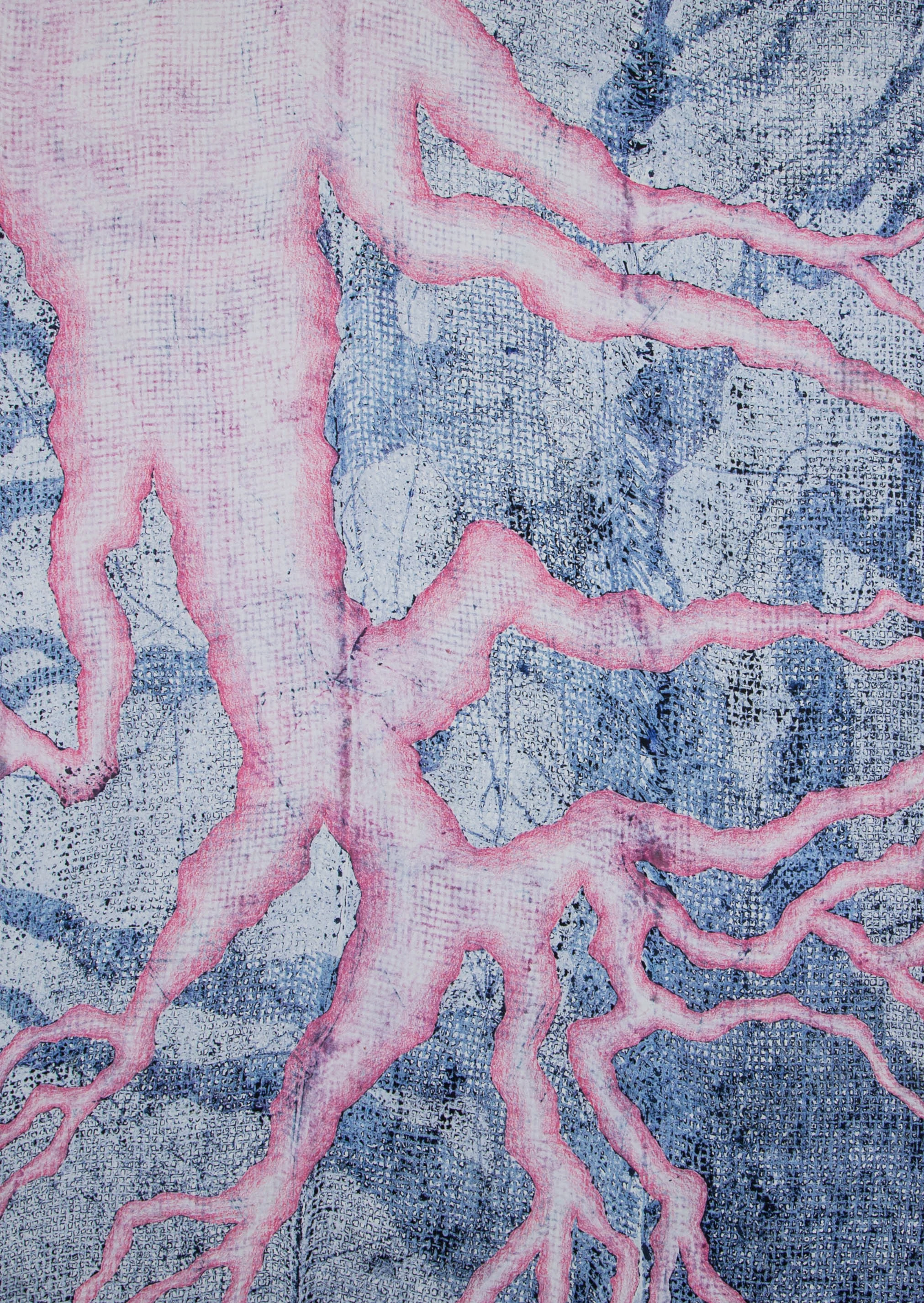 Curative15" x 19"2016Collagraph, Pochoir, Colored Pencil, Monotype