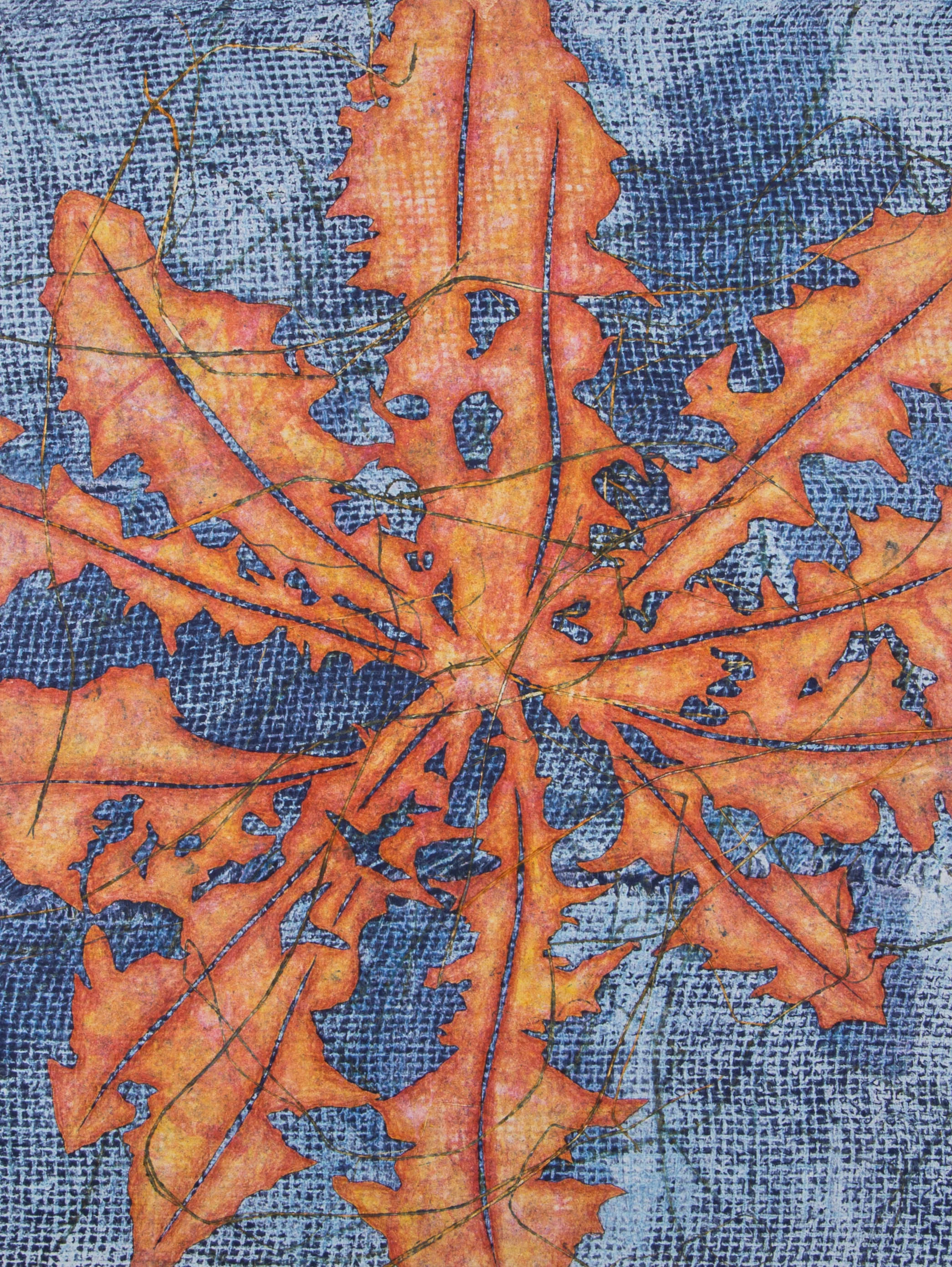 Dent de Lion13" x 16"2016Collagraph, Pochoir, Colored Pencil, Monotype