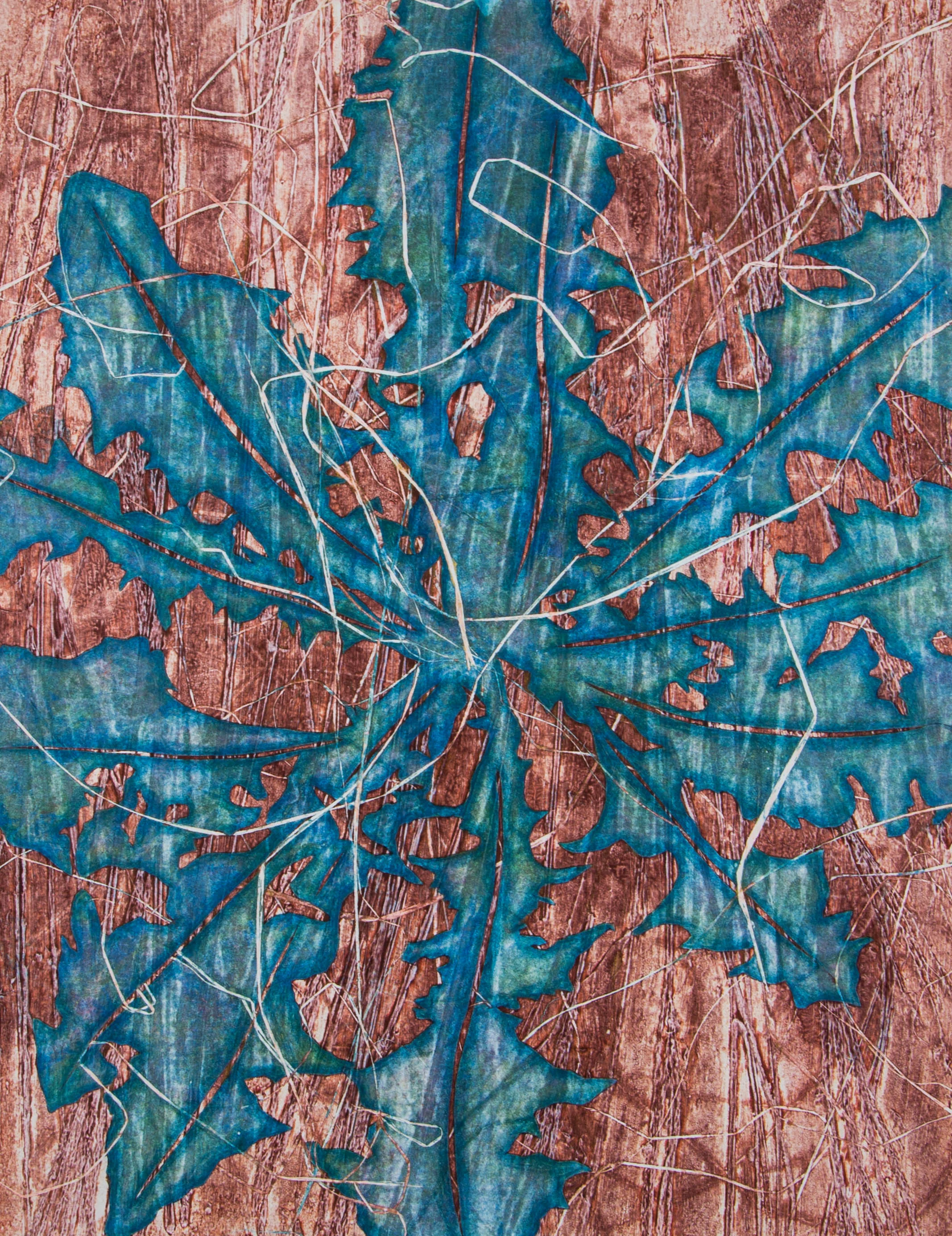 Leontodon13" x 16"2016Collagraph, Pochoir, Colored Pencil, Monotype