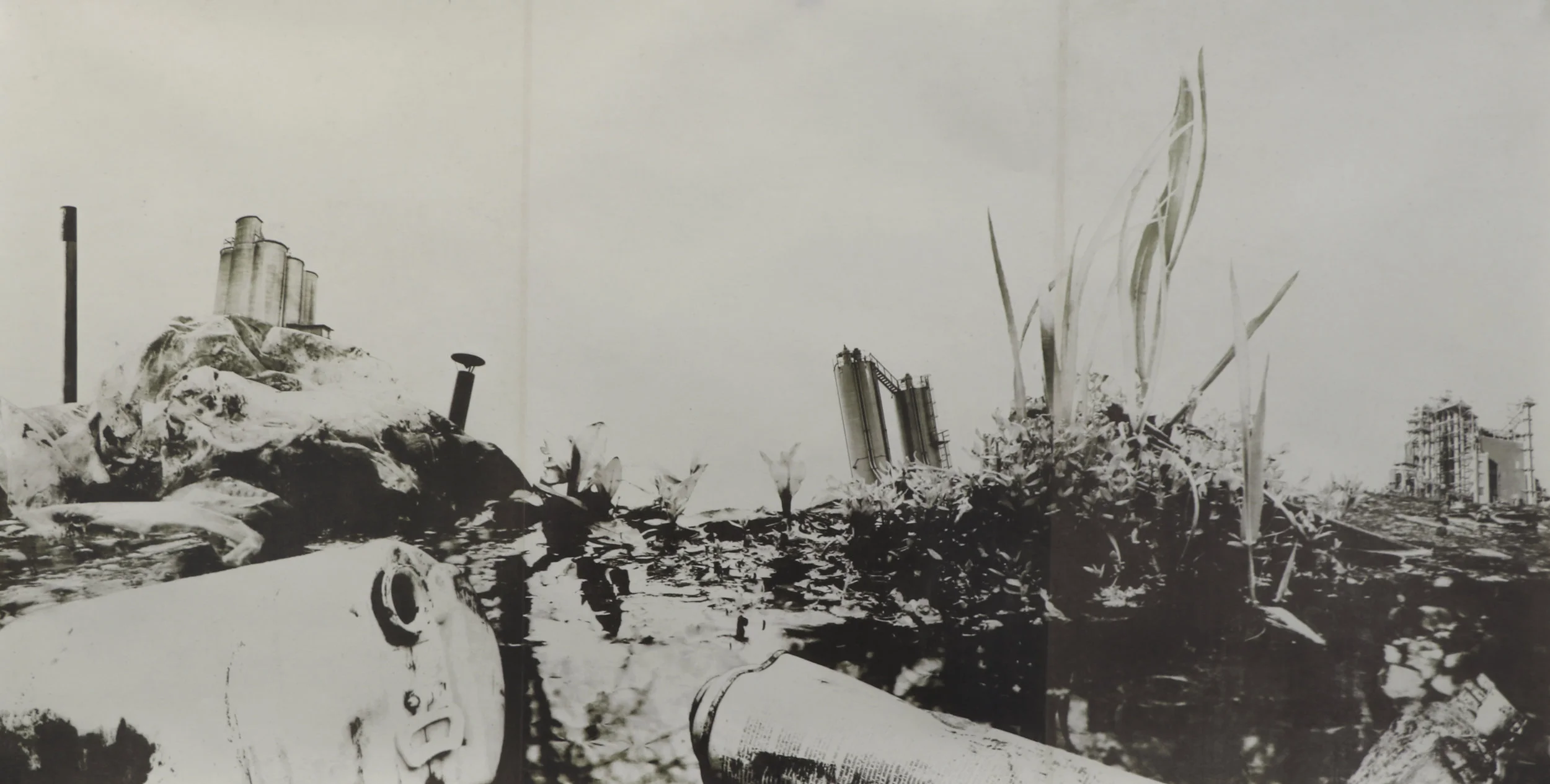 Our Creek (Eucalyptus)photolithograph on gampi backed to dyed kozo