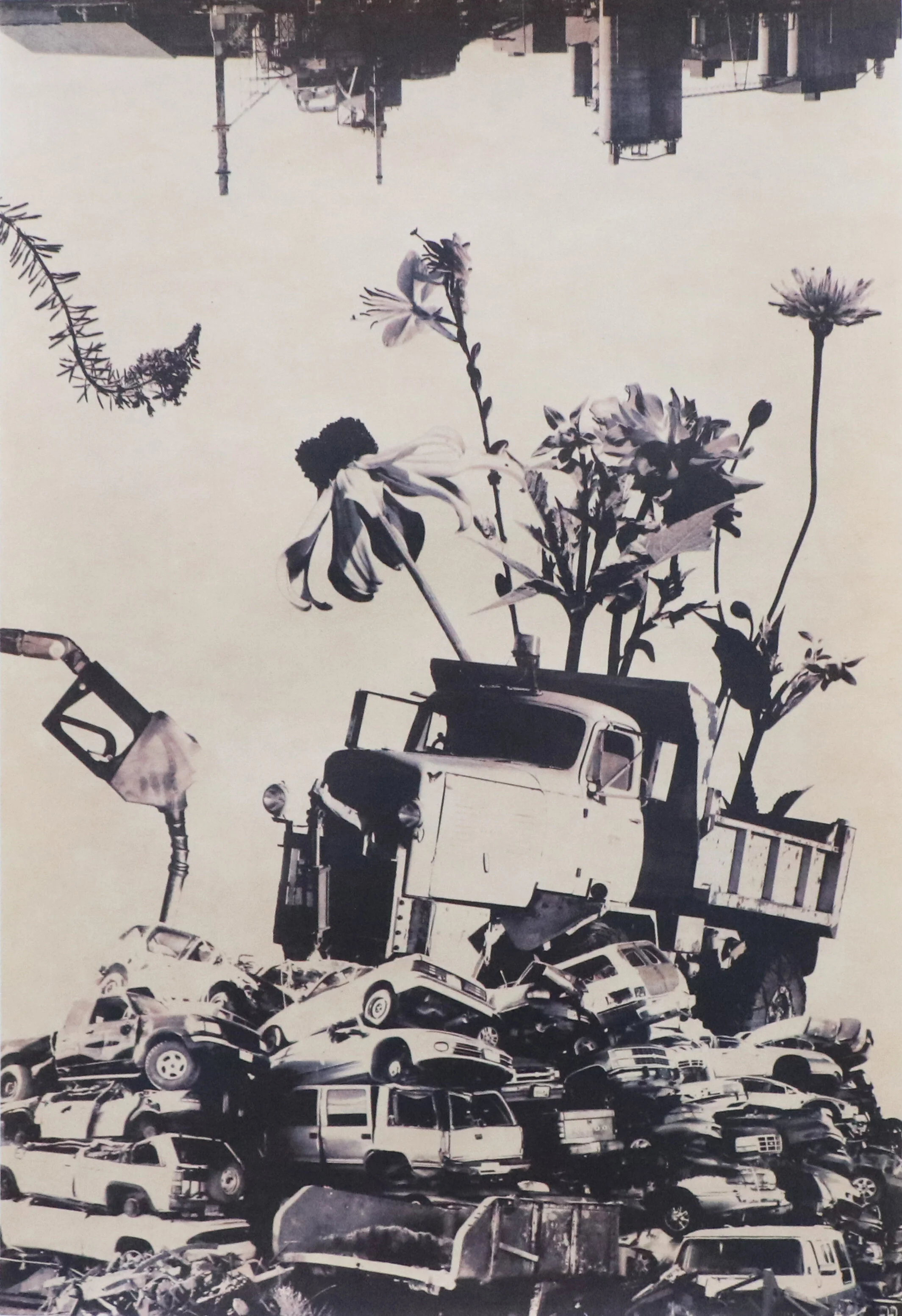 Carbon Hill (St. Johns Wort)photolithograph on gampi backed to dyed kozo