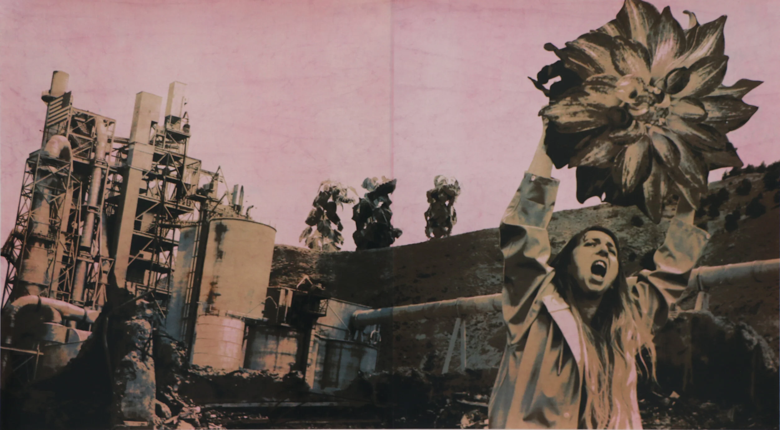 Cry for the Flowers (Cochineal)photolithograph on gampi backed to dyed kozo