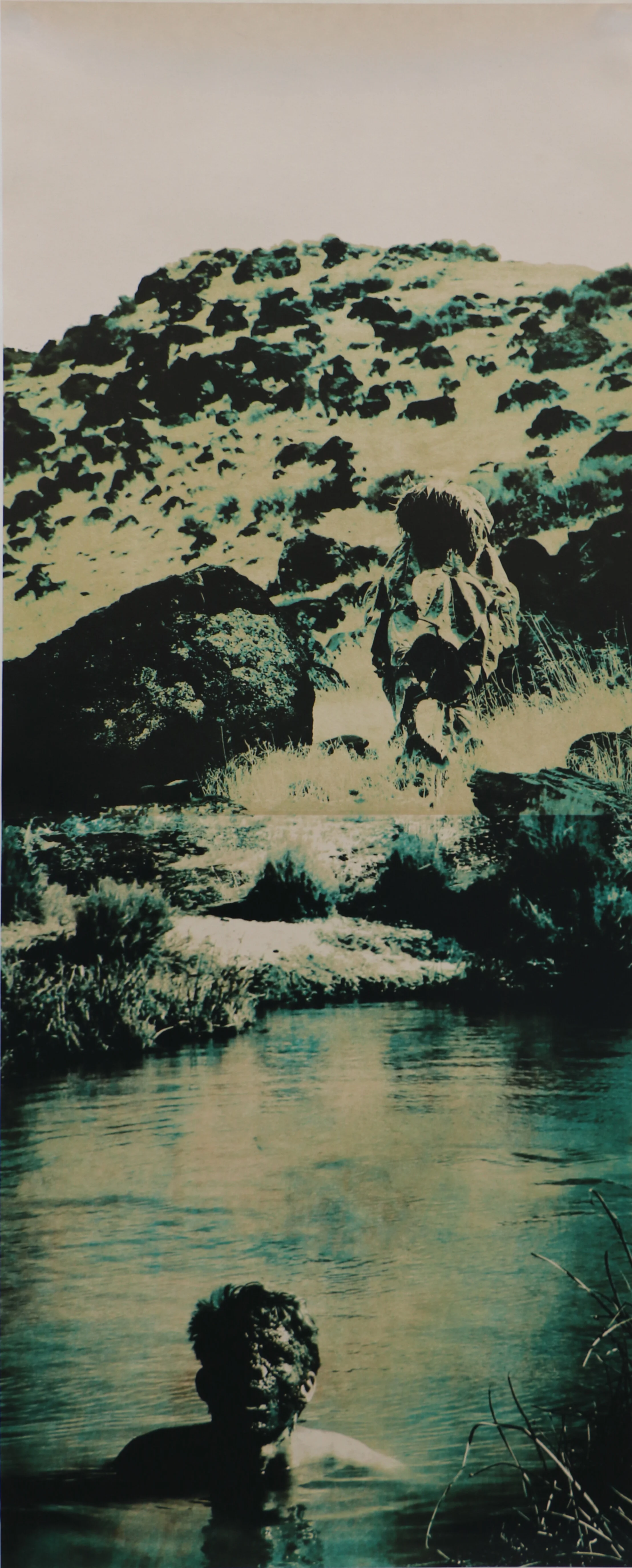 Rewild (Lilacs and Poppies)photolithograph on gampi backed to dyed kozo