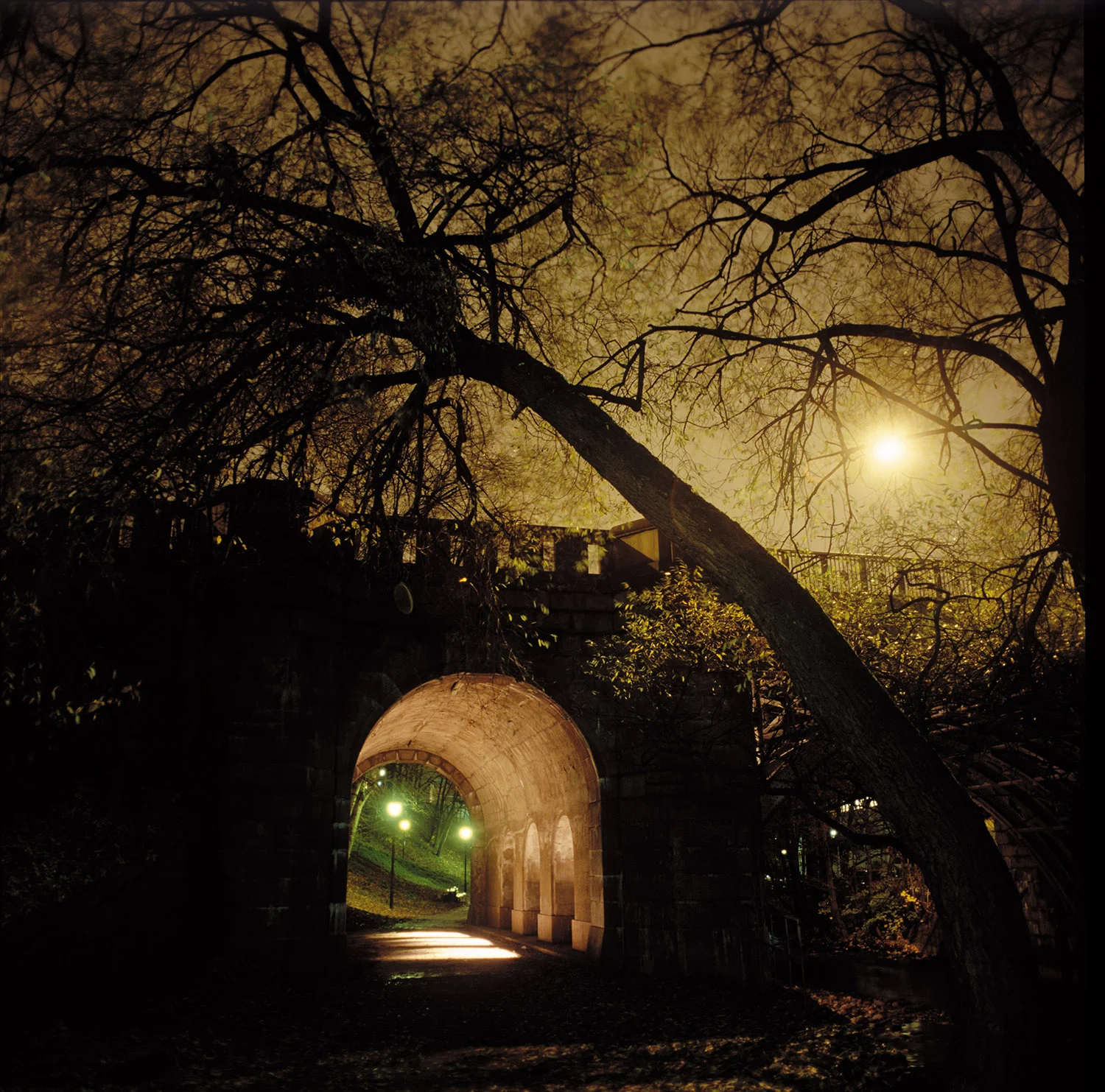 akerselva_sannerbrua01.jpg