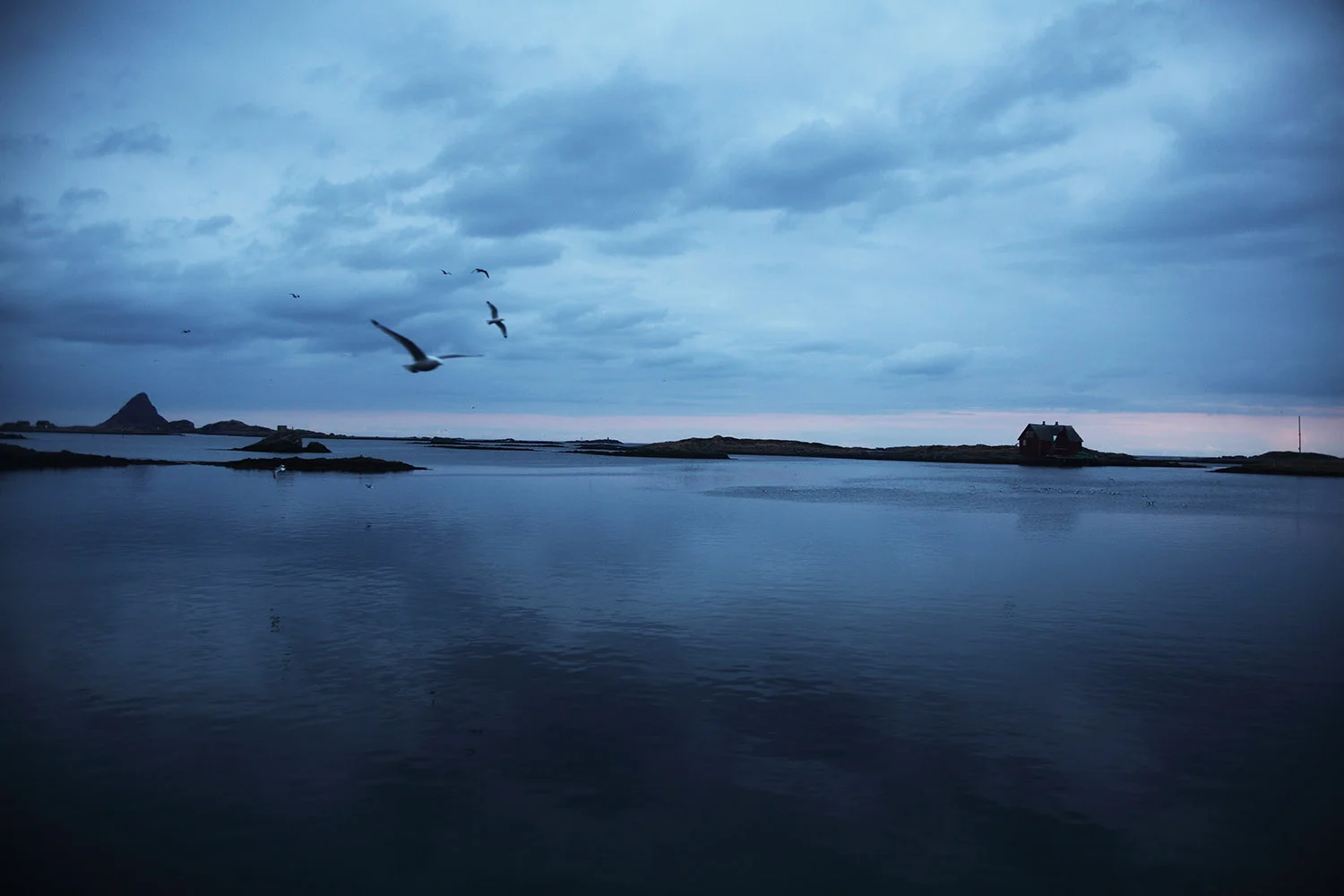 lofoten_fiske01.jpg