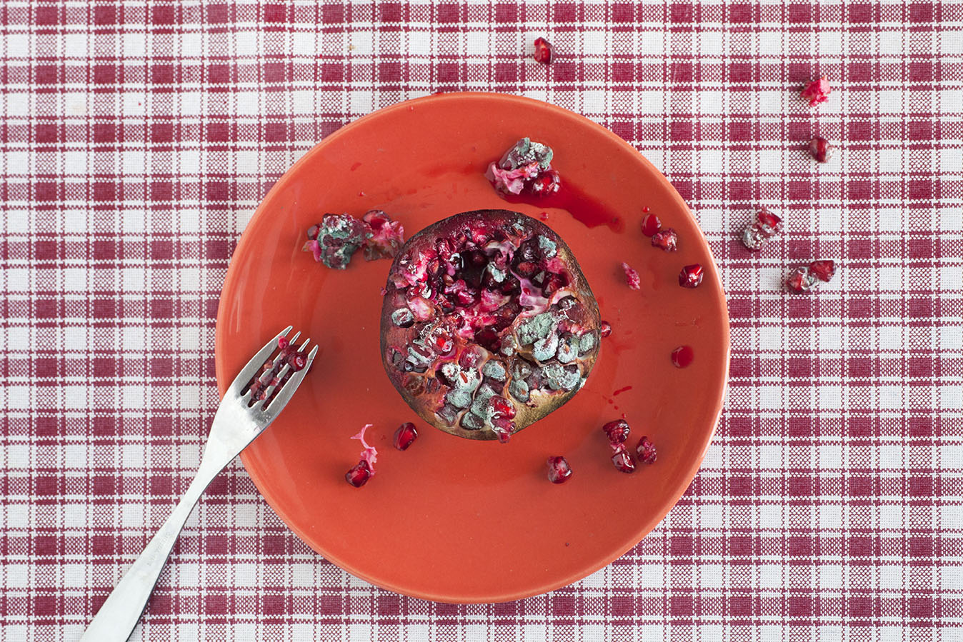 Grapefrukt04.jpg