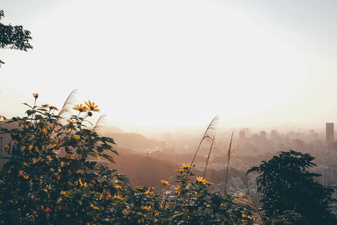 2015: The Year of Ends and Beginnings. 