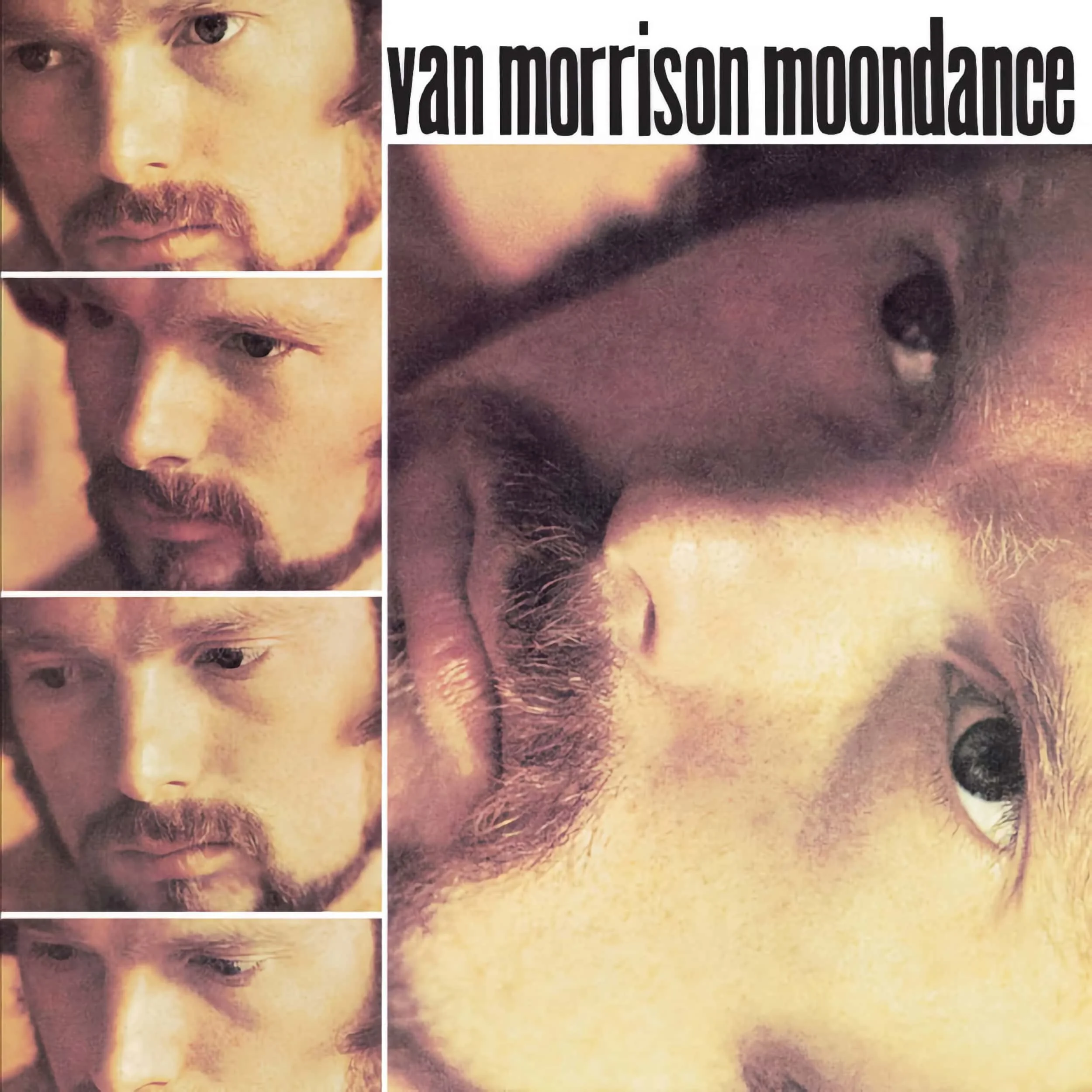 Van Morrison –&nbsp;Moondance (Album Review)