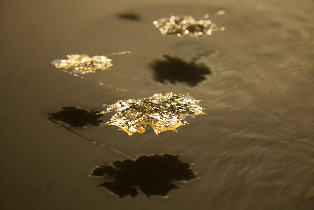gold leaf.jpg