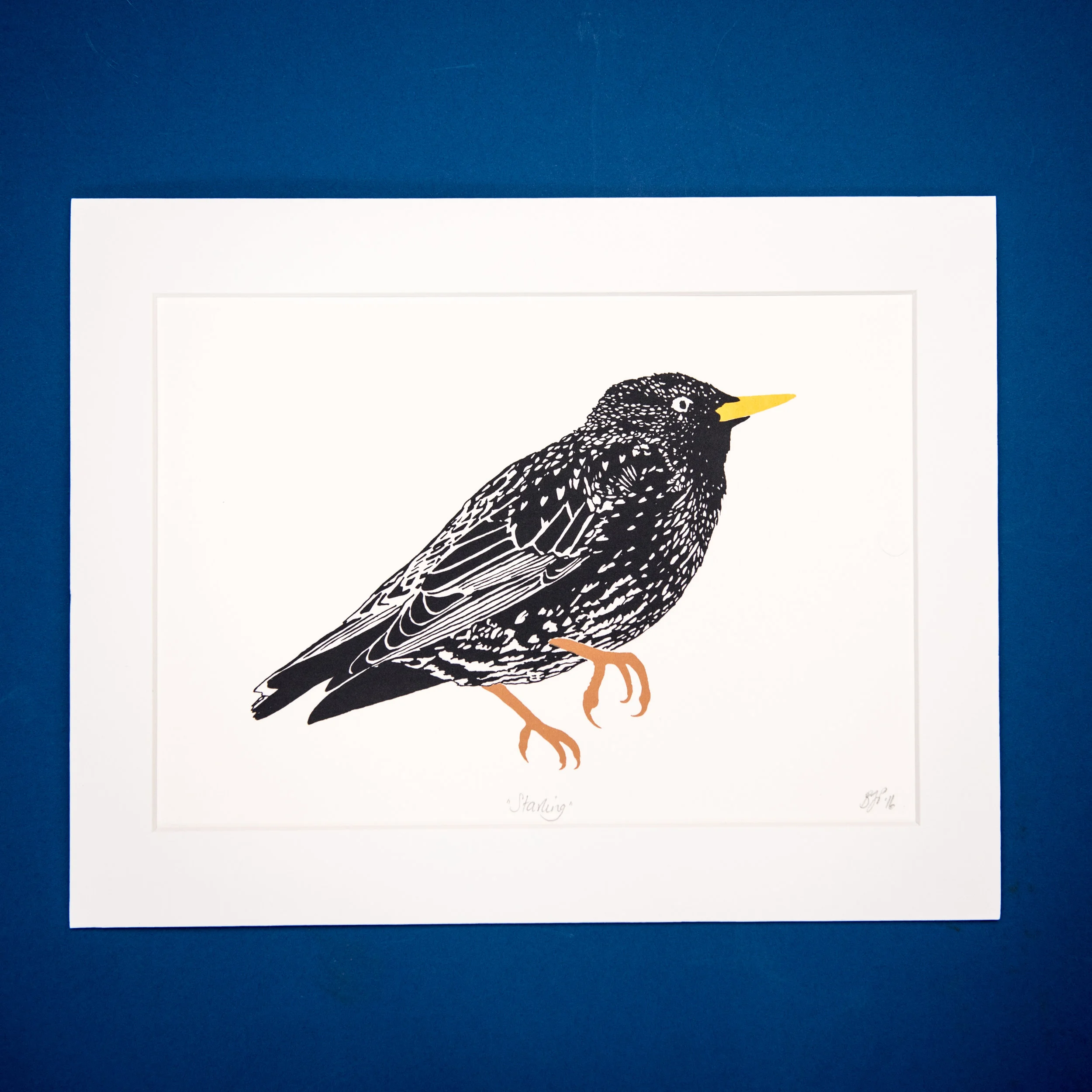 Starling