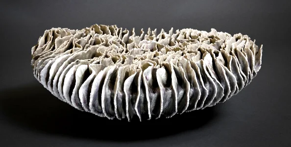 Ridged Form