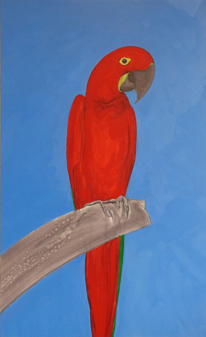 Fuschia Macaw (from A Theory of Colours for Parrots)