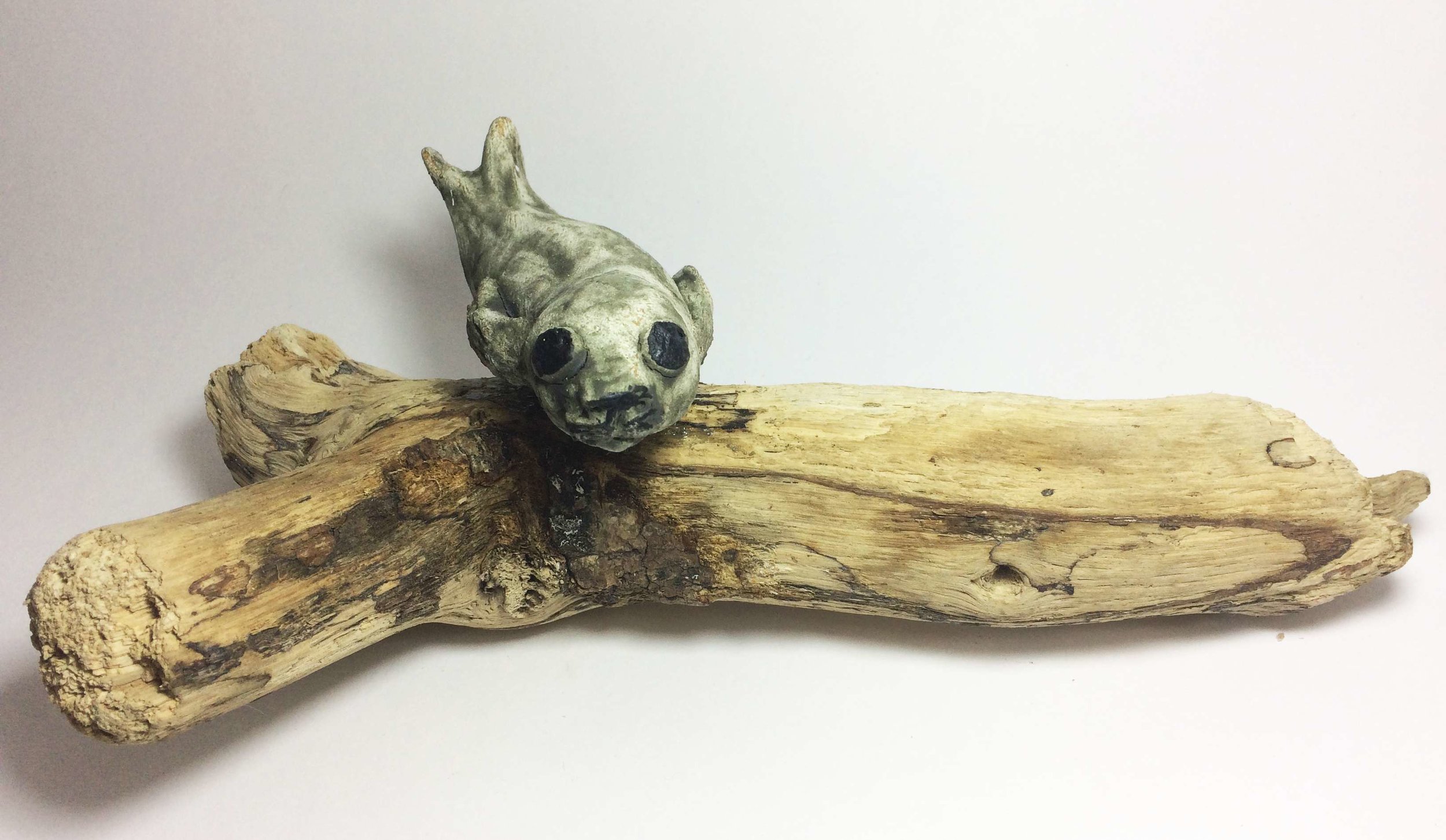 Tiny Seal of Driftwood